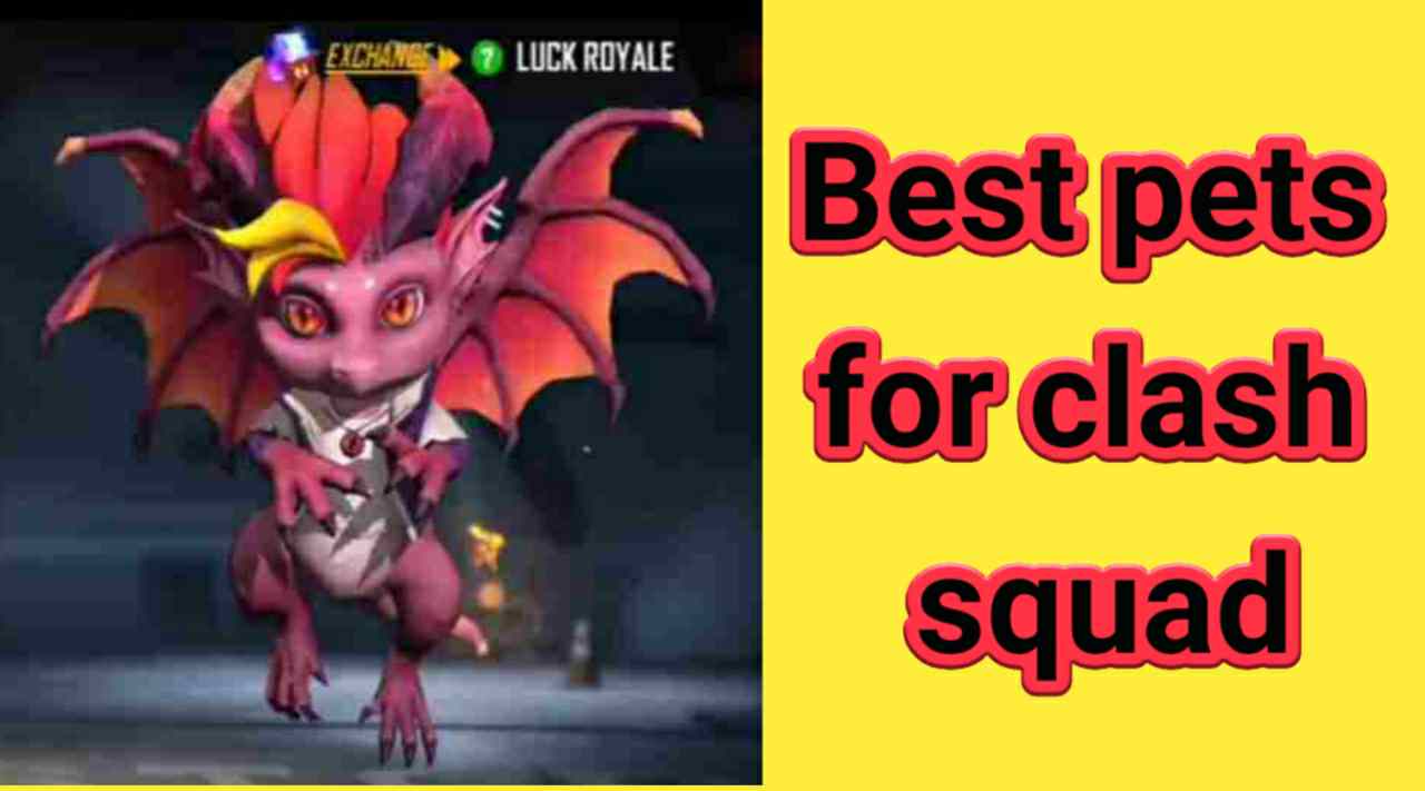 Best Pet In Free Fire For Clash Squad Mode