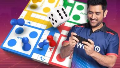 WINZO LUDO
